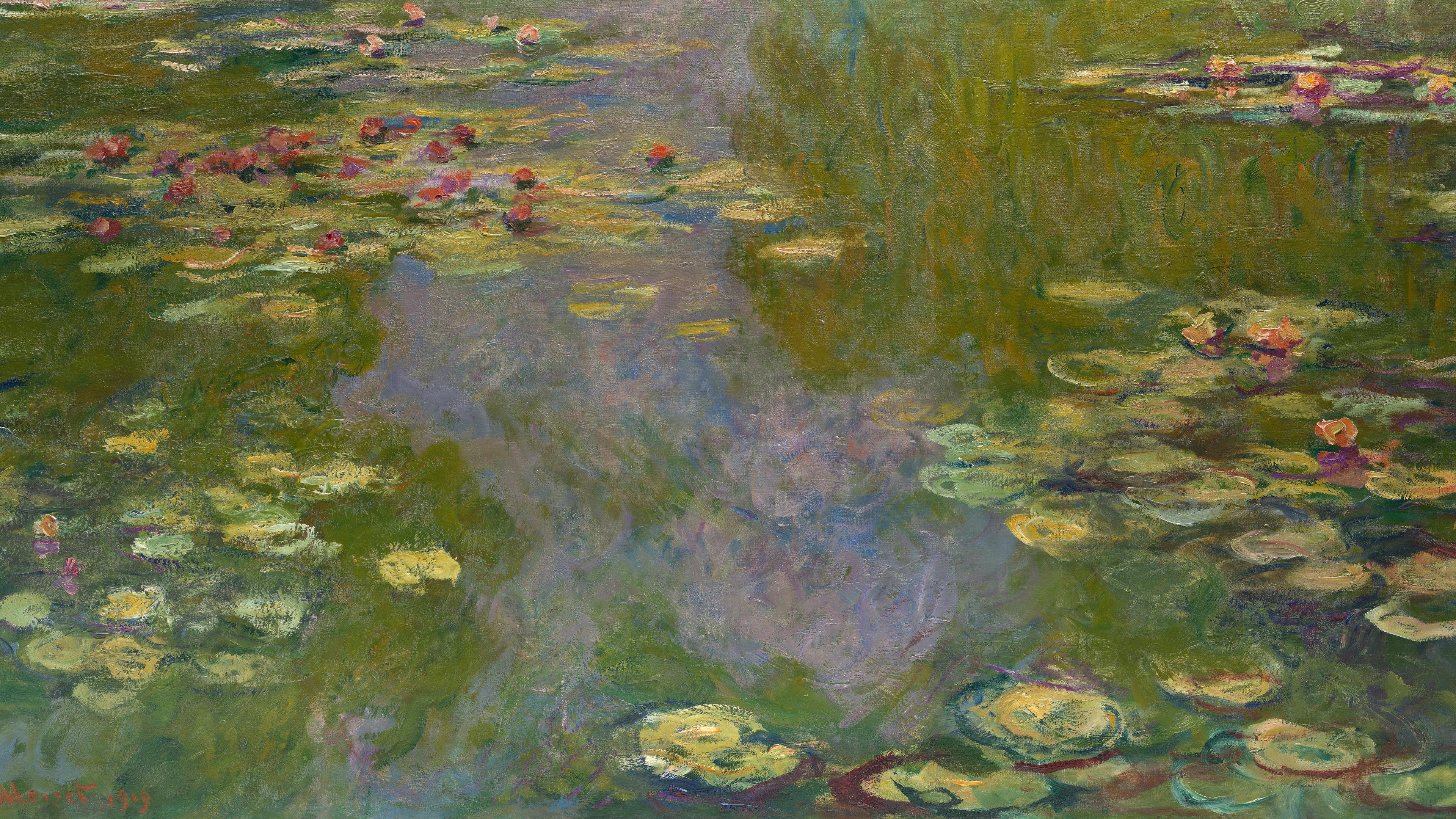 Water lilies with red blooms float atop a green and blue water surface.